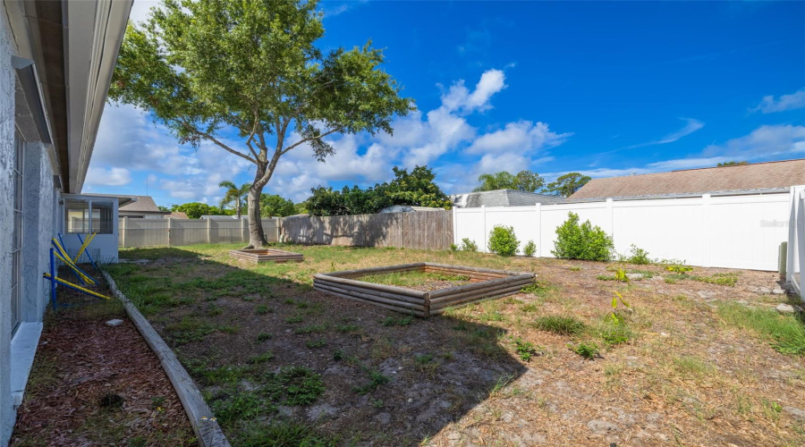 Spacious Backyard!