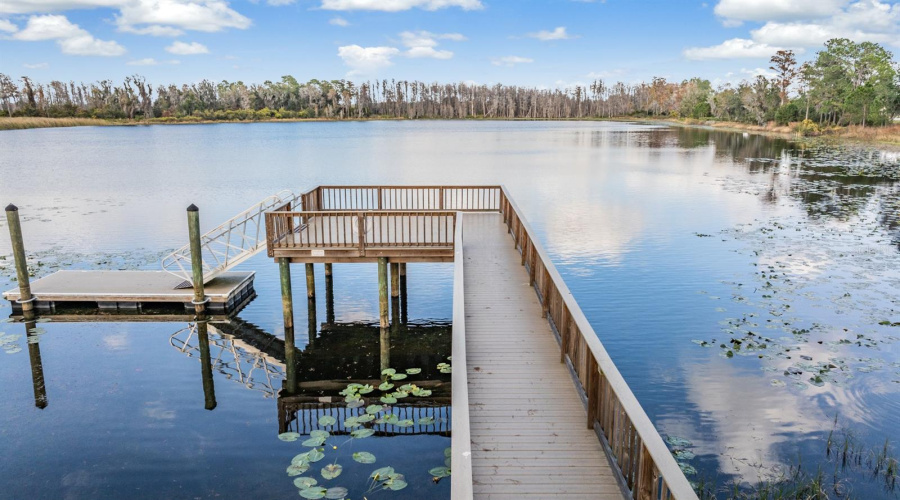Lutz, Florida 33558, 5 Bedroom Bedrooms, ,3 Bathroombathrooms,Residential,For Sale,Breynia,0,Mfrp4939593