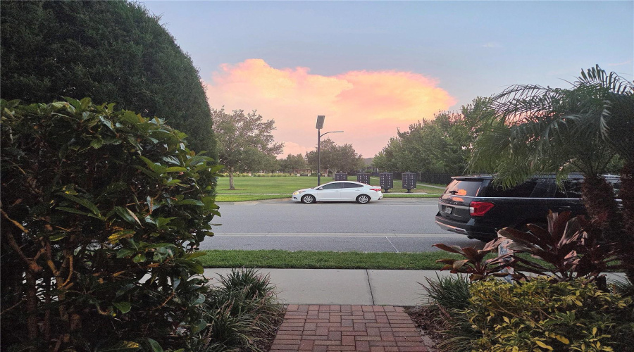 Porch View