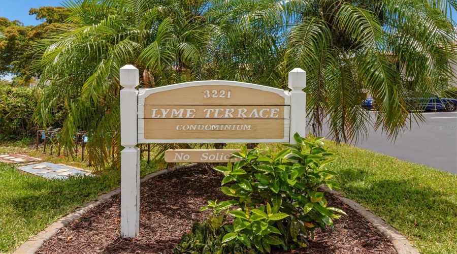 Lyme Terrace