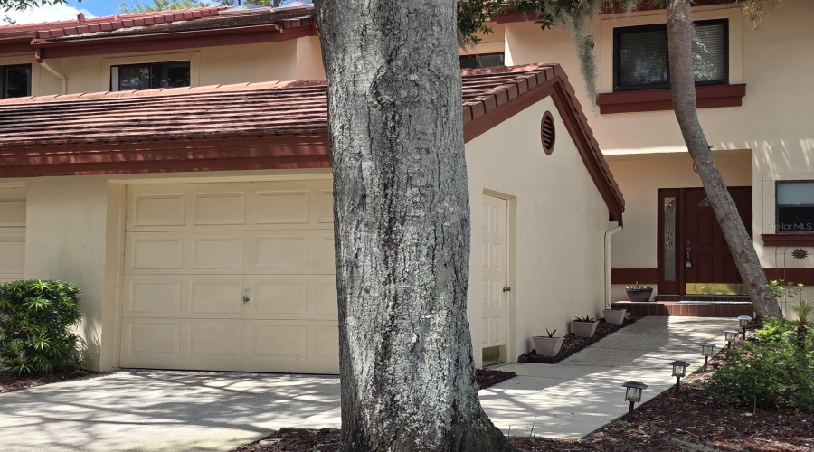 Clearwater, Florida 33761, 2 Bedroom Bedrooms, ,2 Bathroombathrooms,Residential,For Sale,Countryside,0,Mfrw7888598