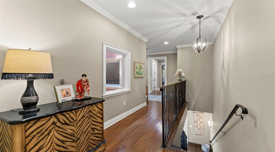 Tampa, Florida 33609, 3 Bedroom Bedrooms, ,2 Bathroombathrooms,Residential,For Sale,Dale,0,Mfrtb8523526