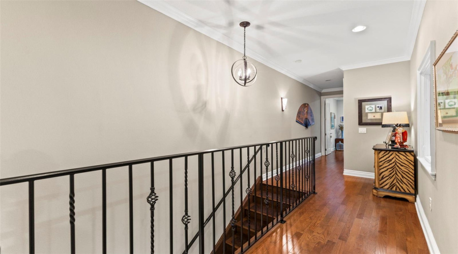 Tampa, Florida 33609, 3 Bedroom Bedrooms, ,2 Bathroombathrooms,Residential,For Sale,Dale,0,Mfrtb8523526