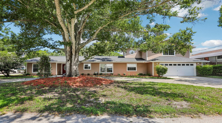 Palm Harbor, Florida 34684, 4 Bedroom Bedrooms, ,4 Bathroombathrooms,Residential,For Sale,Canal,0,Mfrtb8538140