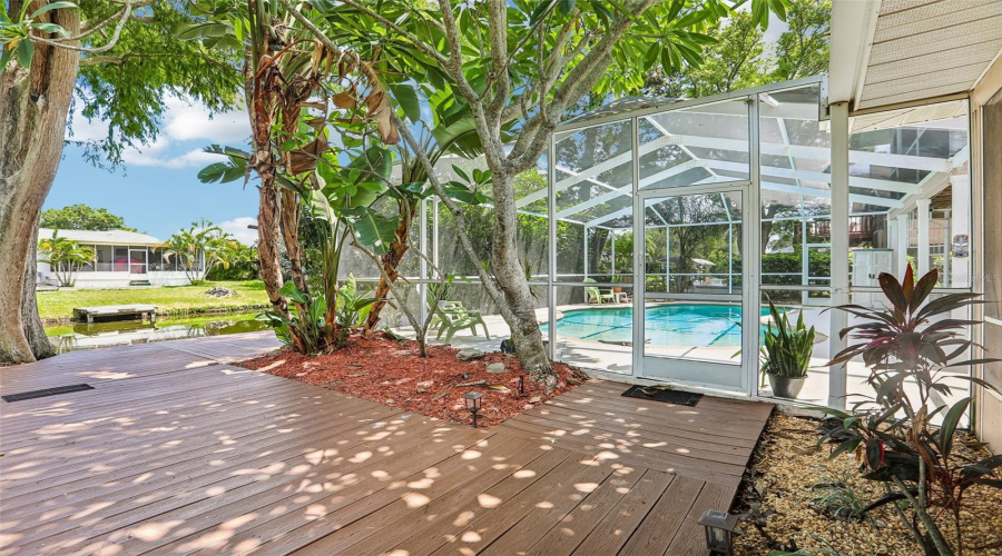 Back Deck