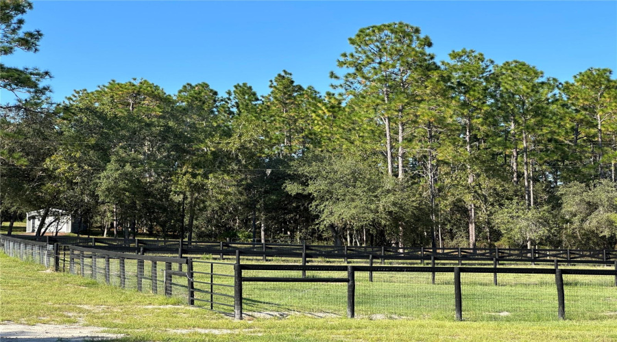 Morriston, Florida 32668, 3 Bedroom Bedrooms, ,2 Bathroombathrooms,Residential,For Sale,55Th,0,Mfrom729624