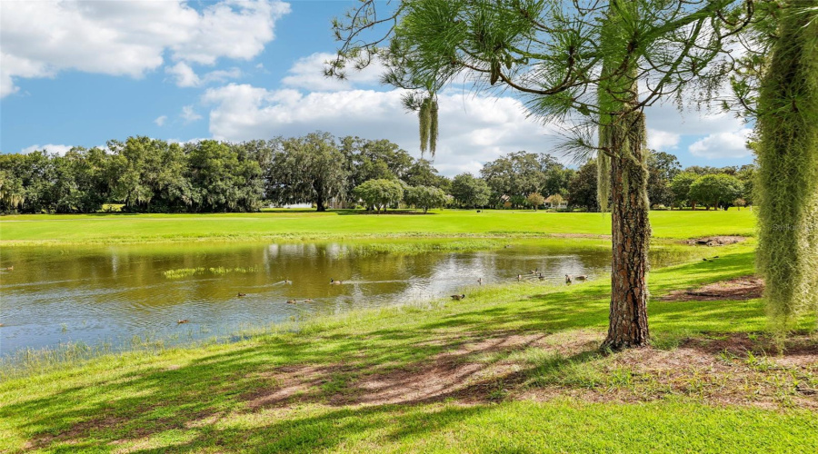 The Villages, Florida 32162, 3 Bedroom Bedrooms, ,2 Bathroombathrooms,Residential,For Sale,Sterling,0,Mfrg5116372