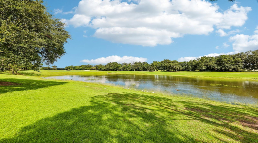 The Villages, Florida 32162, 3 Bedroom Bedrooms, ,2 Bathroombathrooms,Residential,For Sale,Sterling,0,Mfrg5116372
