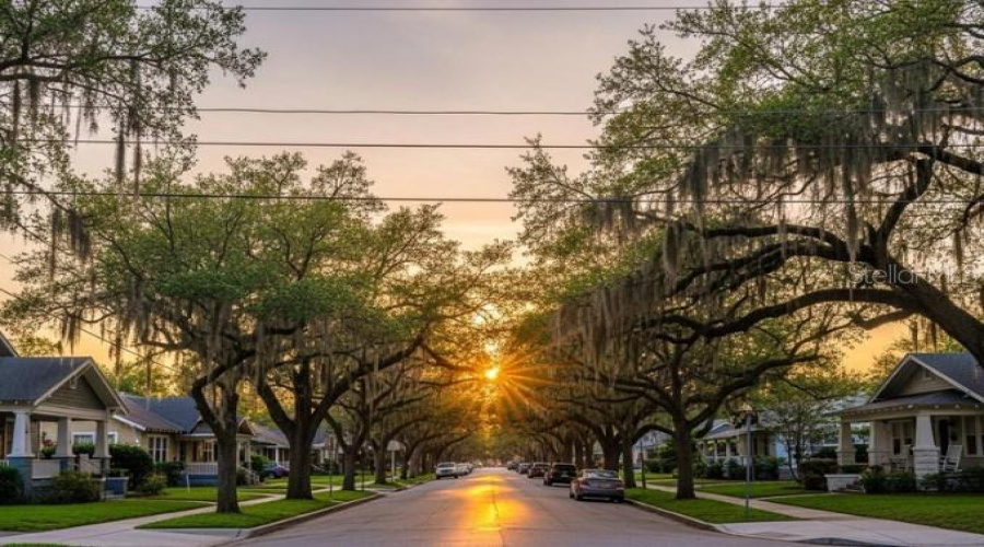Beautiful Seminole Heights