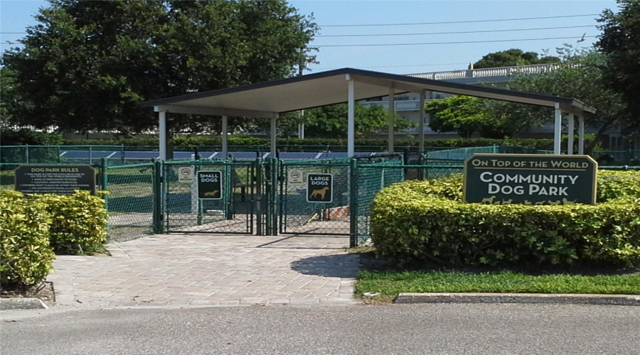 Community Dog Park