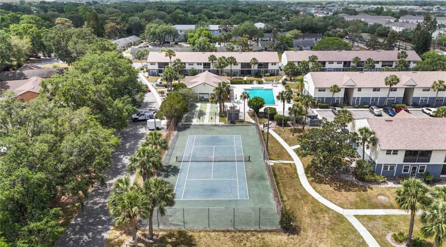 Amenities (Tennis And Shuffle Board Courts)