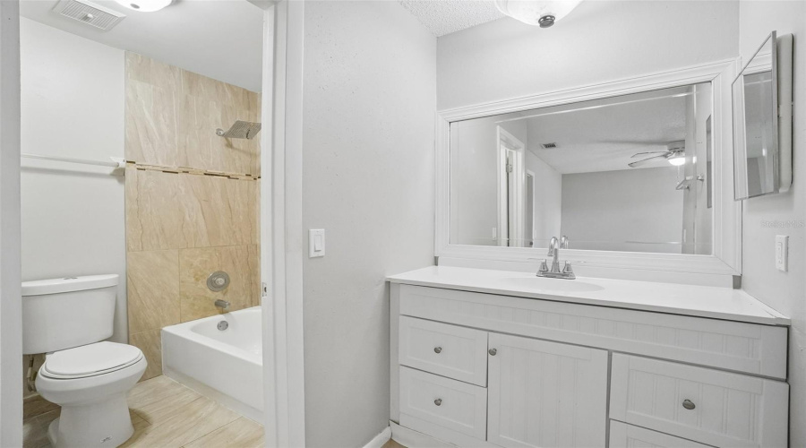Master Bathroom - Vanity Area