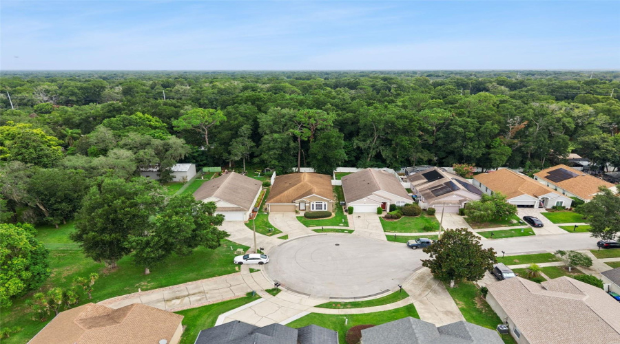 Apopka, Florida 32703, 4 Bedroom Bedrooms, ,2 Bathroombathrooms,Residential,For Sale,Golden Ivy,0,Mfro6429550