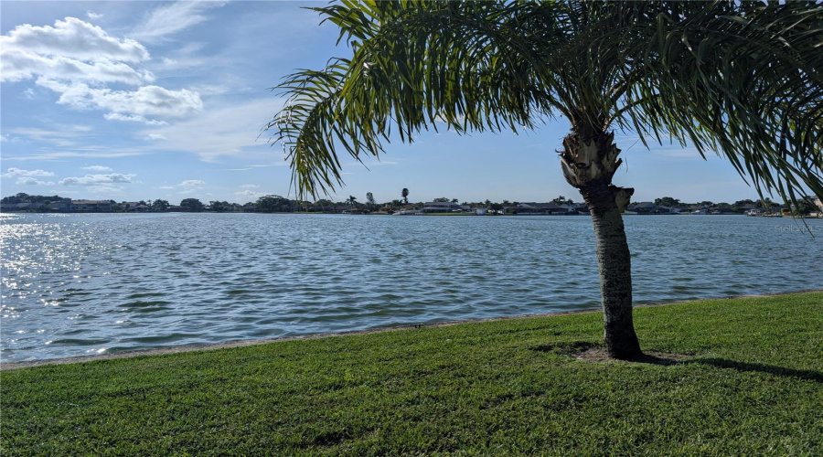 Neighborhood Views.