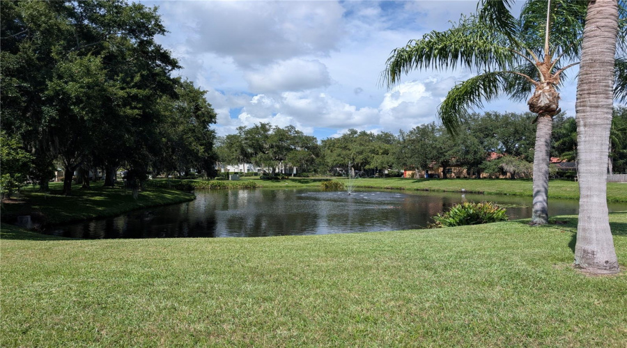 Neighborhood Pond &Amp; Fountain.
