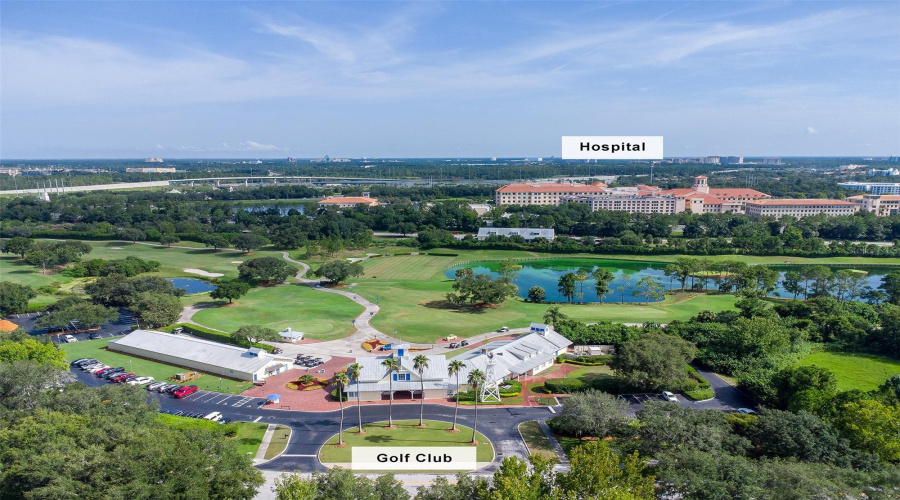 Celebration Aerial View