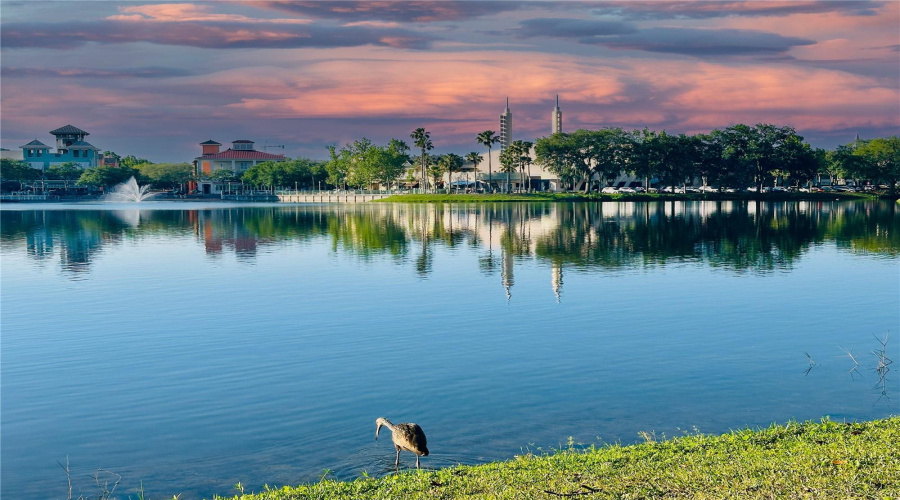 Celebration, Florida 34747, 1 Bedroom Bedrooms, ,1 Bathroombathrooms,Residential,For Sale,Siena Palm,0,Mfrs5151449