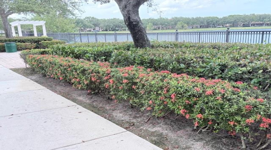 Palm Beach Gardens, Florida 33418, 3 Bedroom Bedrooms, ,2 Bathroombathrooms,Residential,For Sale,Murano,0,Mfrfc320932