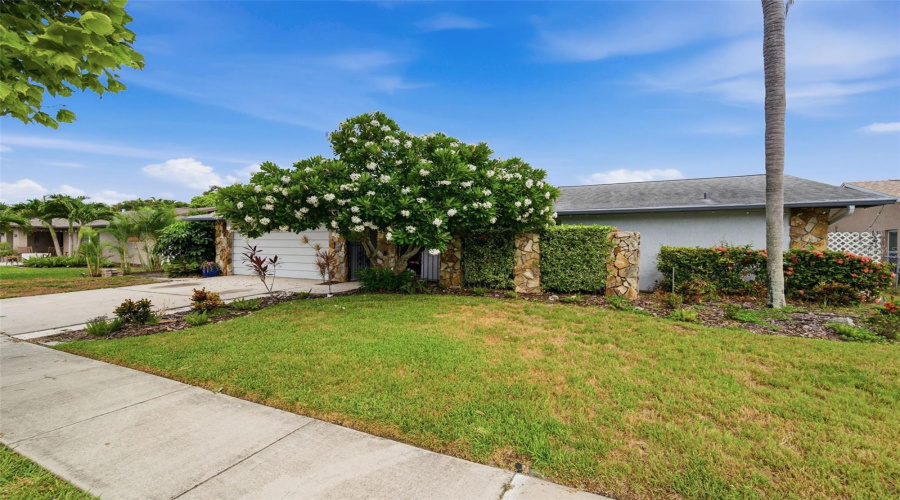 Largo, Florida 33773, 3 Bedroom Bedrooms, ,2 Bathroombathrooms,Residential,For Sale,97Th,0,Mfrtb8522027