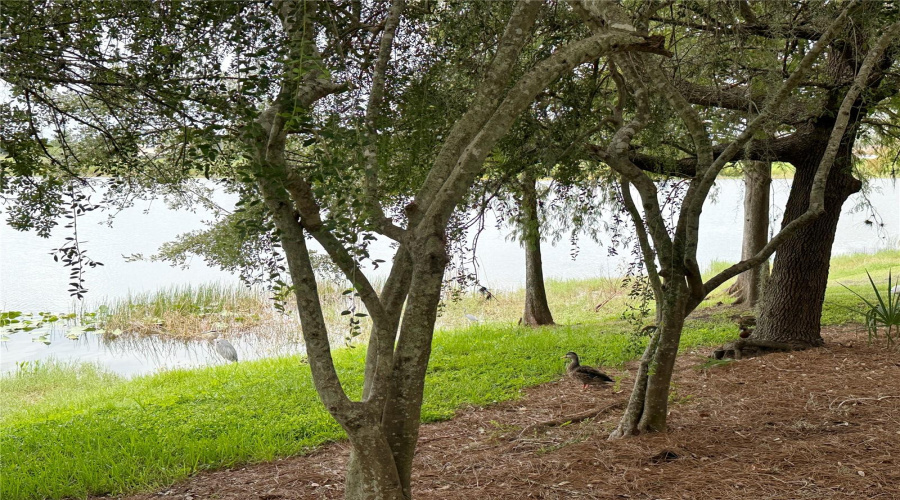 Orlando, Florida 32819, 3 Bedroom Bedrooms, ,2 Bathroombathrooms,Residential,For Sale,Shoreway,0,Mfro6373285