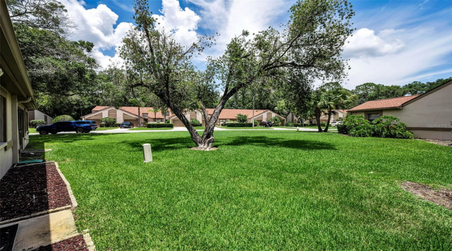 Palm Harbor, Florida 34685, 2 Bedroom Bedrooms, ,2 Bathroombathrooms,Residential,For Sale,Hillmoor,0,Mfrtb8525676
