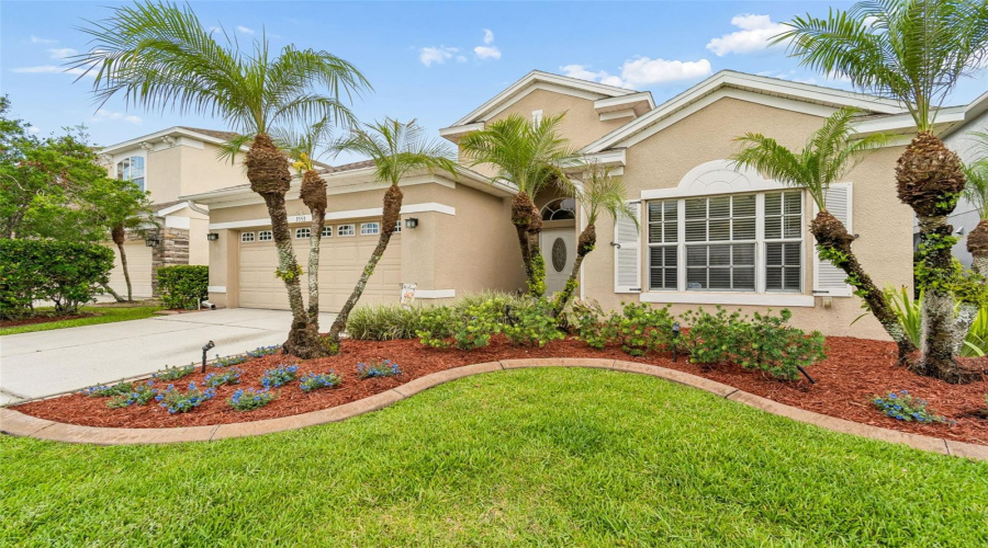 Land O Lakes, Florida 34639, 3 Bedroom Bedrooms, ,2 Bathroombathrooms,Residential,For Sale,Morgans Bluff,0,Mfrtb8521682