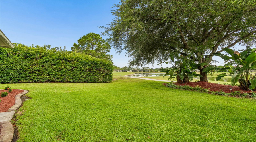 Land O Lakes, Florida 34639, 3 Bedroom Bedrooms, ,2 Bathroombathrooms,Residential,For Sale,Morgans Bluff,0,Mfrtb8521682