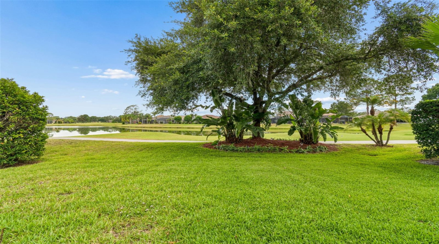 Land O Lakes, Florida 34639, 3 Bedroom Bedrooms, ,2 Bathroombathrooms,Residential,For Sale,Morgans Bluff,0,Mfrtb8521682