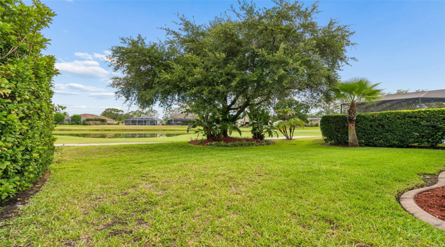 Land O Lakes, Florida 34639, 3 Bedroom Bedrooms, ,2 Bathroombathrooms,Residential,For Sale,Morgans Bluff,0,Mfrtb8521682