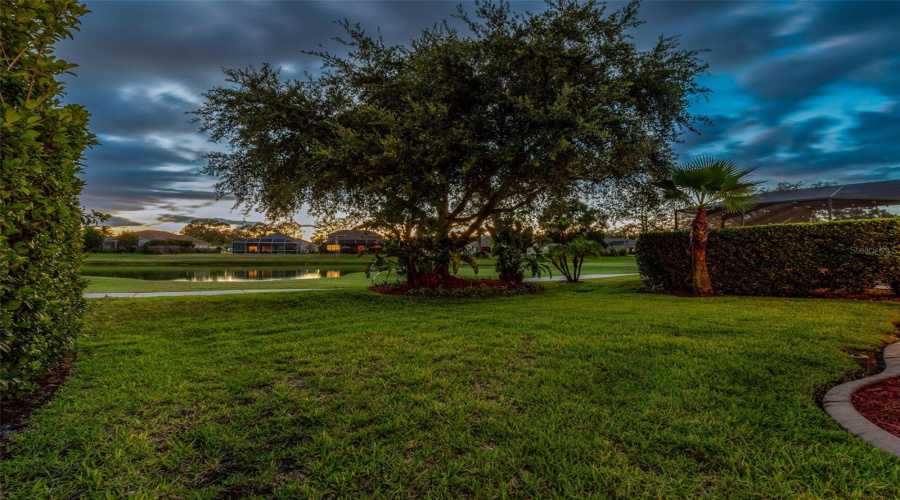 Land O Lakes, Florida 34639, 3 Bedroom Bedrooms, ,2 Bathroombathrooms,Residential,For Sale,Morgans Bluff,0,Mfrtb8521682