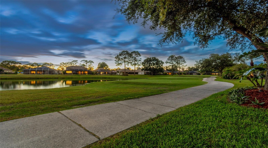 Land O Lakes, Florida 34639, 3 Bedroom Bedrooms, ,2 Bathroombathrooms,Residential,For Sale,Morgans Bluff,0,Mfrtb8521682