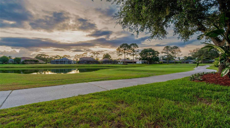 Land O Lakes, Florida 34639, 3 Bedroom Bedrooms, ,2 Bathroombathrooms,Residential,For Sale,Morgans Bluff,0,Mfrtb8521682