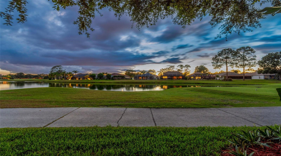 Land O Lakes, Florida 34639, 3 Bedroom Bedrooms, ,2 Bathroombathrooms,Residential,For Sale,Morgans Bluff,0,Mfrtb8521682