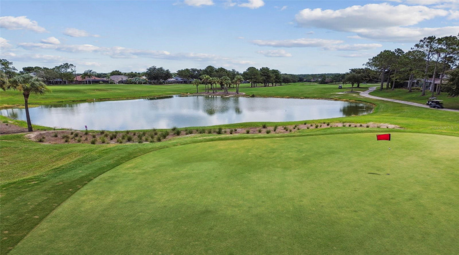 Land O Lakes, Florida 34639, 3 Bedroom Bedrooms, ,2 Bathroombathrooms,Residential,For Sale,Morgans Bluff,0,Mfrtb8521682
