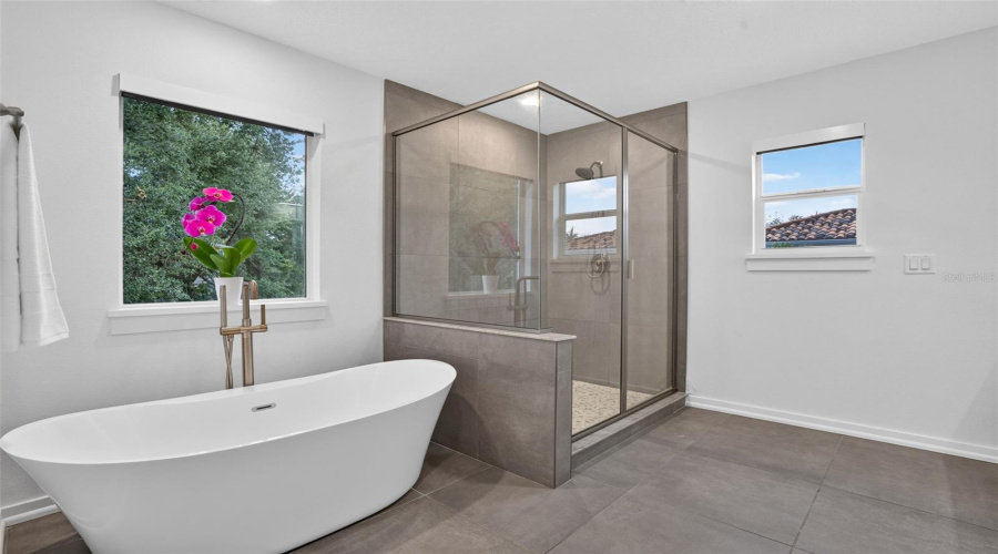 Master Bath, Jacuzzii Tub-Seperate Large Walk In Shower.