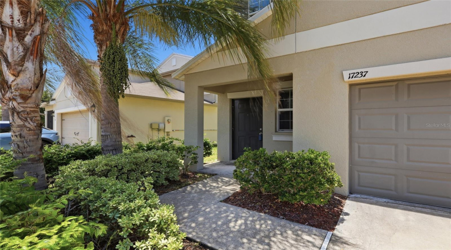 Wimauma, Florida 33598, 4 Bedroom Bedrooms, ,2 Bathroombathrooms,Residential,For Sale,White Mangrove,0,Mfrtb8521692