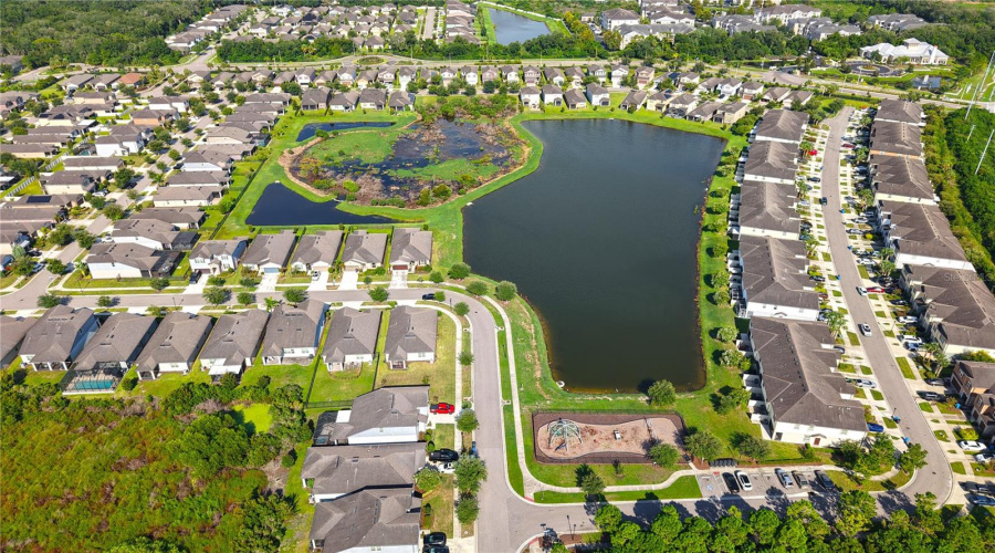Riverview, Florida 33578, 4 Bedroom Bedrooms, ,2 Bathroombathrooms,Residential,For Sale,Loblolly Pine,0,Mfrtb8536901