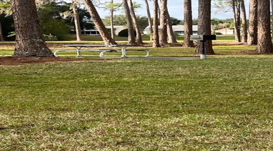 Picnic Area