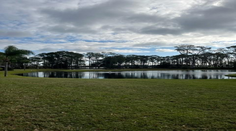 Pond