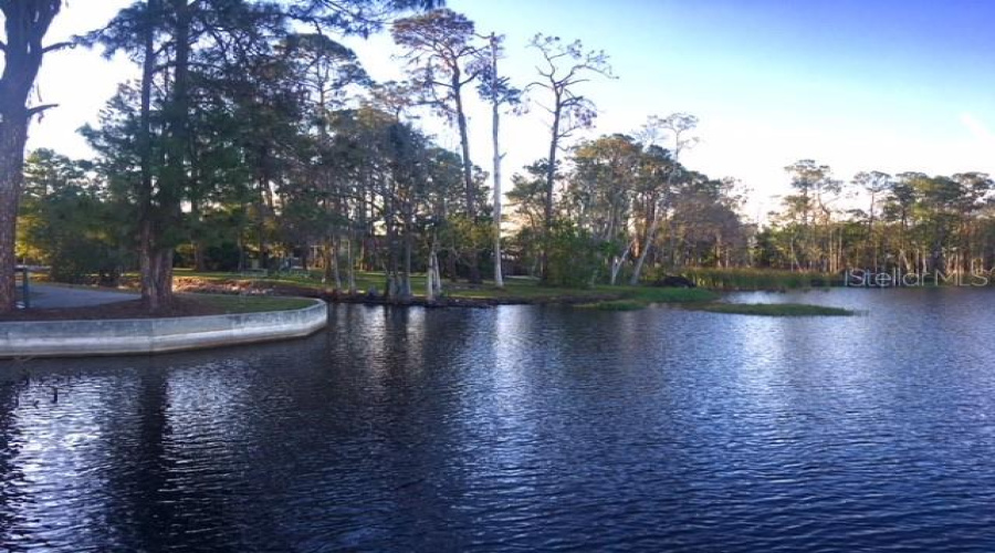 Lake