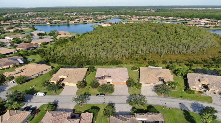 Neighborhood Airlal View