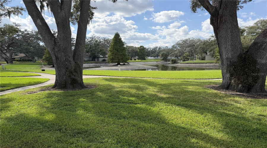 Temple Terrace, Florida 33637, 2 Bedroom Bedrooms, ,1 Bathroombathrooms,Residential,For Sale,Pine,0,Mfrtb8441219