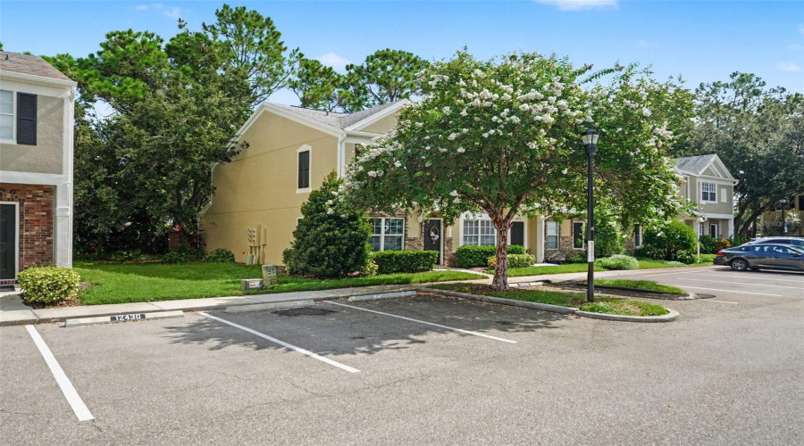 Tampa, Florida 33626, 2 Bedroom Bedrooms, ,1 Bathroombathrooms,Residential,For Sale,Berkeley Square,0,Mfrw7888623