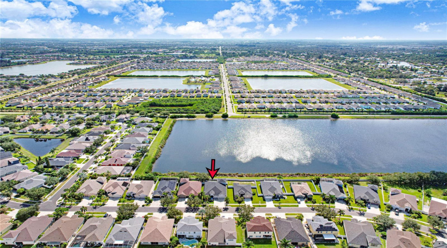 Community View