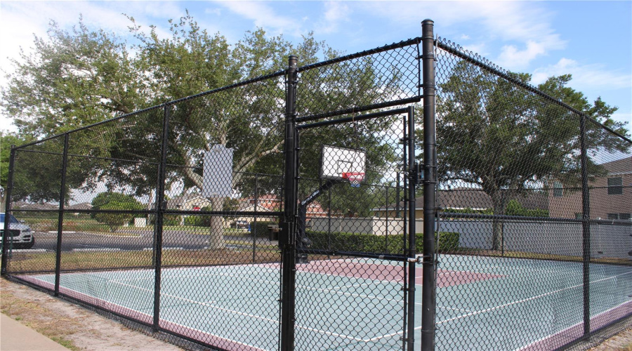 Basketball Court