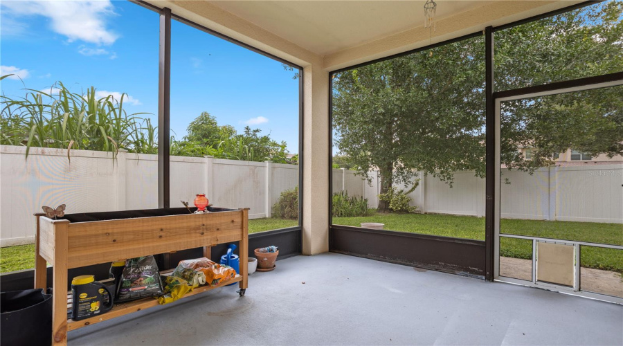 Back Patio