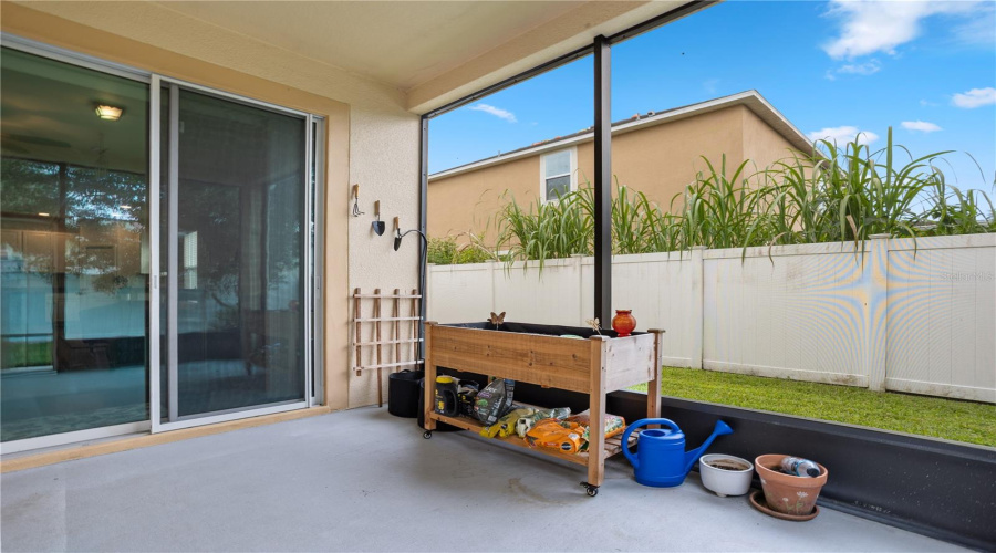 Back Patio