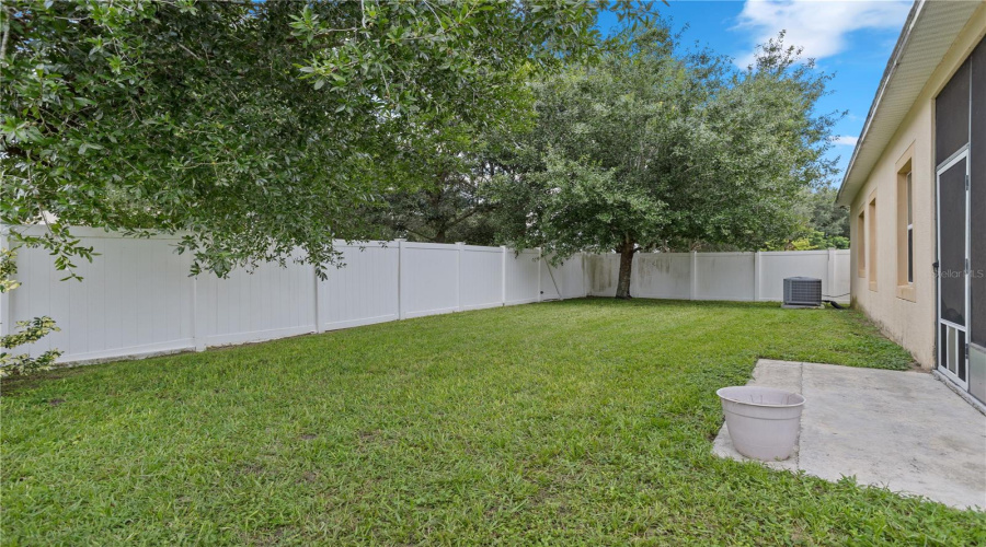 Back Yard