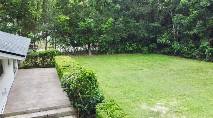 Backyard