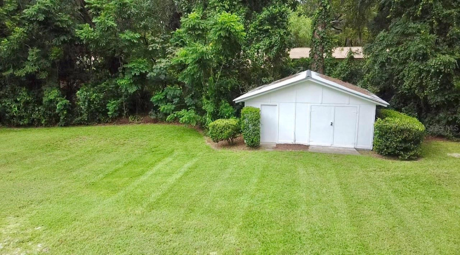 Backyard
